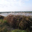 지석강마트 이미지