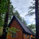 울진농업협동조합 금강송지점 이미지