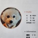 멍이랜드 네이버블로그