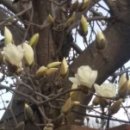 봉성농장 이미지