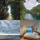 추장목장 | 마켓오름 하효쇠소깍해수욕장 쇠소깍 큰엉해안경승지 성산 부뚜막식당 말목장 초원뷰 포니제주 숙소 추천