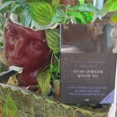 [서평] 안토니오 타부키의『다마세누 몬테이루의 잃어버린 머리』이현경 옮김/문학동네- 타부키식 문학...