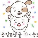 츄츄동물병원 이미지