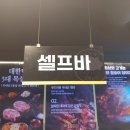 개화산맛집 | 방화동 삼겹살 맛집 원조부안집 개화산역 숙성 돼지고기 목살 후기