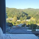 카라스파펜션 | 가평 펜션 가성비 좋은 수영장 펜션 카사레스