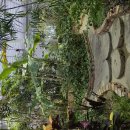 검한1길 이미지