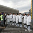 전남방역소득