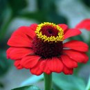 산동숲유치원 이미지