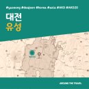 자은 이팝나무 가로수길 | [국내가볼만한곳] #유성 #대전 #가볼만한곳3 #지역축제 #추천음식3 #추천호텔3 #AKD20