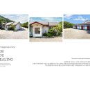 흥정계곡 409 이미지