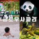 더플레이어스(스크린)(354) | 안성 스타필드 글로우사파리 아이랑 놀거리 가볼만한곳
