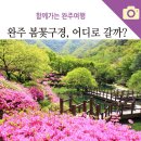 5월3일(화) “금낭화 천국” 대아수목원 &amp; 오스갤러리 이미지