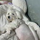 (주)피플랜 이미지