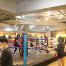 팀제이티 복싱센터 이미지