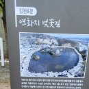 연화지보리밥식당 이미지