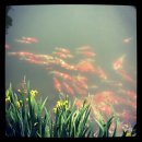 서운동산펜션 이미지