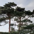 노경1리마을회관 네이버블로그