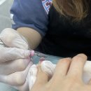 신림동 네일, 히링네일, 화이트 그라데이션 후기 (겨울네일, 크리스마스네일)