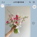 소이디플라워