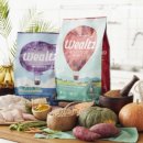 디비에스 주식회사 이미지