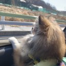 장안할매집 이미지