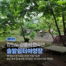강원도 강릉 연곡 소금강 계곡 캠핑장 I 예약없이 방문가능한 계곡옆 전기포함 2만원 극가성비 캠핑...