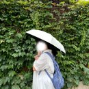 8월의중식 하남점 | 바나나랑 망고라면 모를까 사람이 살만한 날씨는 아니네요.. (feat. 8월 블로그)