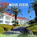 씨오르 리조트 | 제주도 남쪽 감성 숙소, 씨오르 리조트 스튜디오 룸 후기