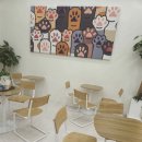 캣플헤븐 이미지