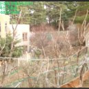 초당동-3 이미지