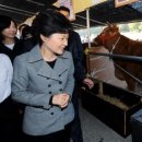 섬강축산 이미지