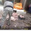 한씨농장 이미지