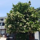 무랑민박 이미지