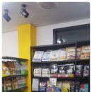 제일애견 이미지