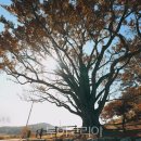 [마을역량강화]생태환경교육 이미지