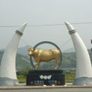 횡성한우나루