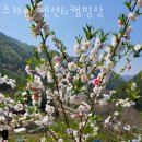 무릉도원면-49 | 강원도계곡펜션 스카이 펜션&amp;캠핑장 국내1박2일여행지로 추천하는 강원도펜션 위치 가는방법