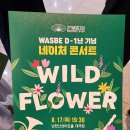 WASBE D-1년 기념 네이처콘서트 WILD FLOWER 4.<독일 초청 공연> | [광주시의원 노영준] WASBE 세계관악컨퍼런스 D-1년 네이처 콘서트 #4 WORLD BRASS (2023.07.15 토...