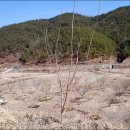 내곡농장 이미지