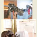 강앤정동물병원 이미지