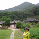 계룡산아래