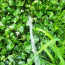 영부농장 이미지