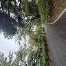 영천CC | [영천오펠CC 후기] 예약 꿀팁 + 요금 + 코스별 특징 총정리(2025.10.13.)