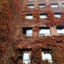 서소문로11길 이미지