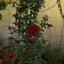 시립중앙도서관 열린광장 이미지