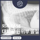 화이트동물메디컬센터 이미지