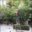 천지조경
