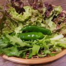 맛돈갈비 이미지