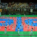 국선도 1 이미지