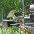 취병낚시터 이미지